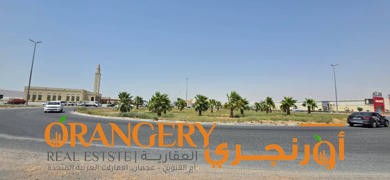 18 Orangey_01 (24). jpeg
