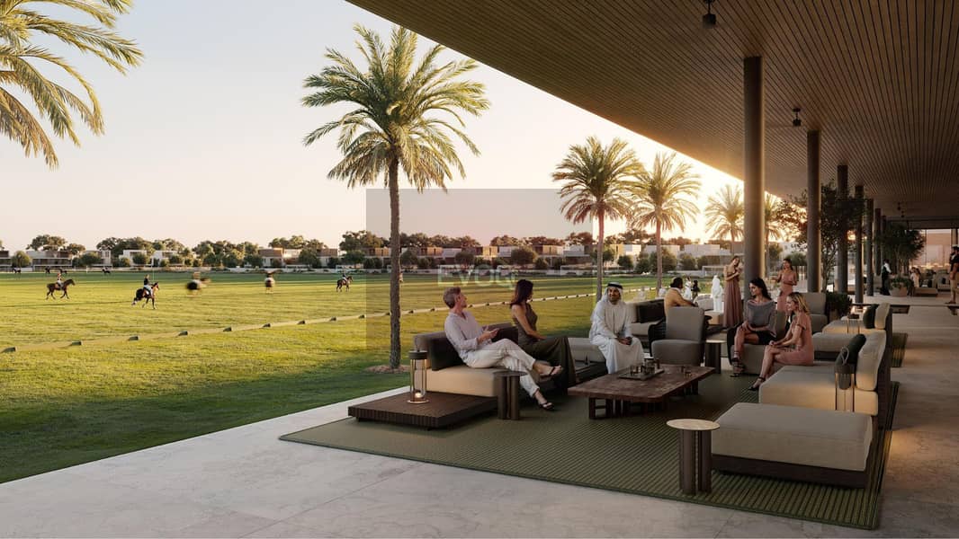 5 6. jpg