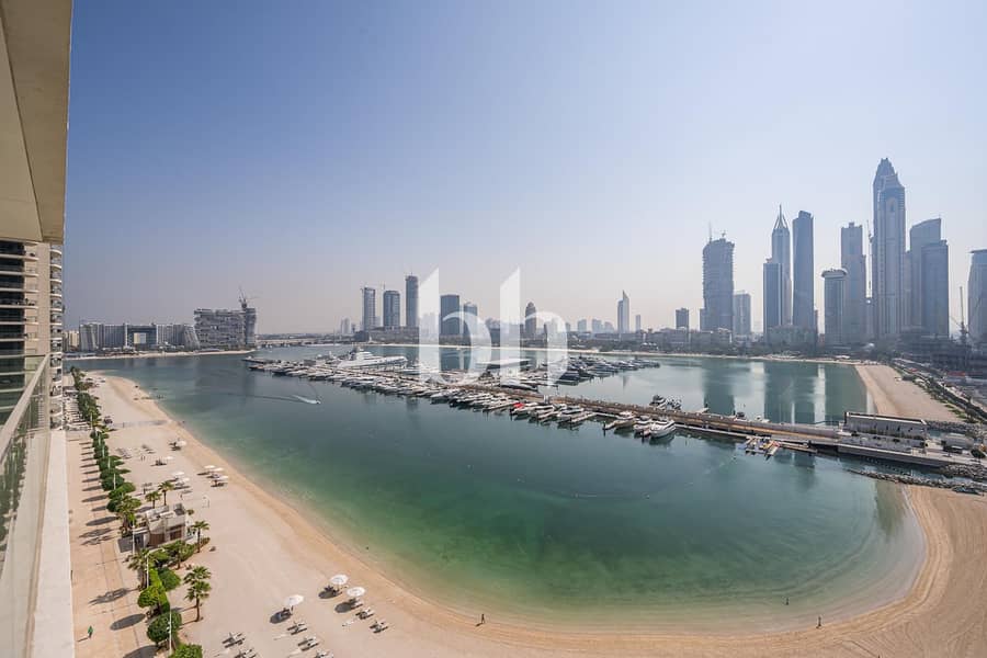 2 Image 0