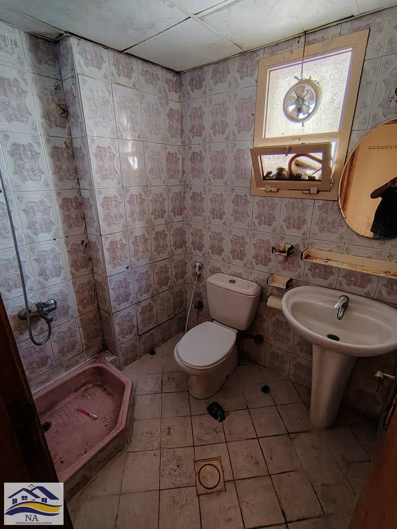 6 131478. jpg
