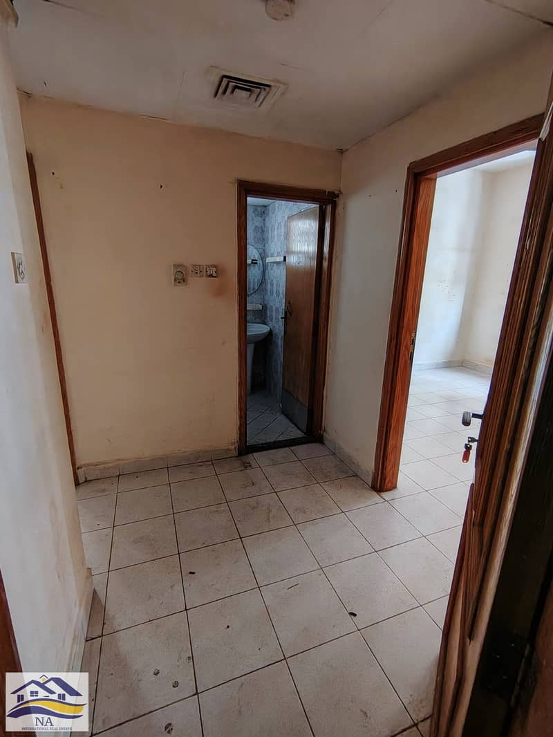 7 131472. jpg