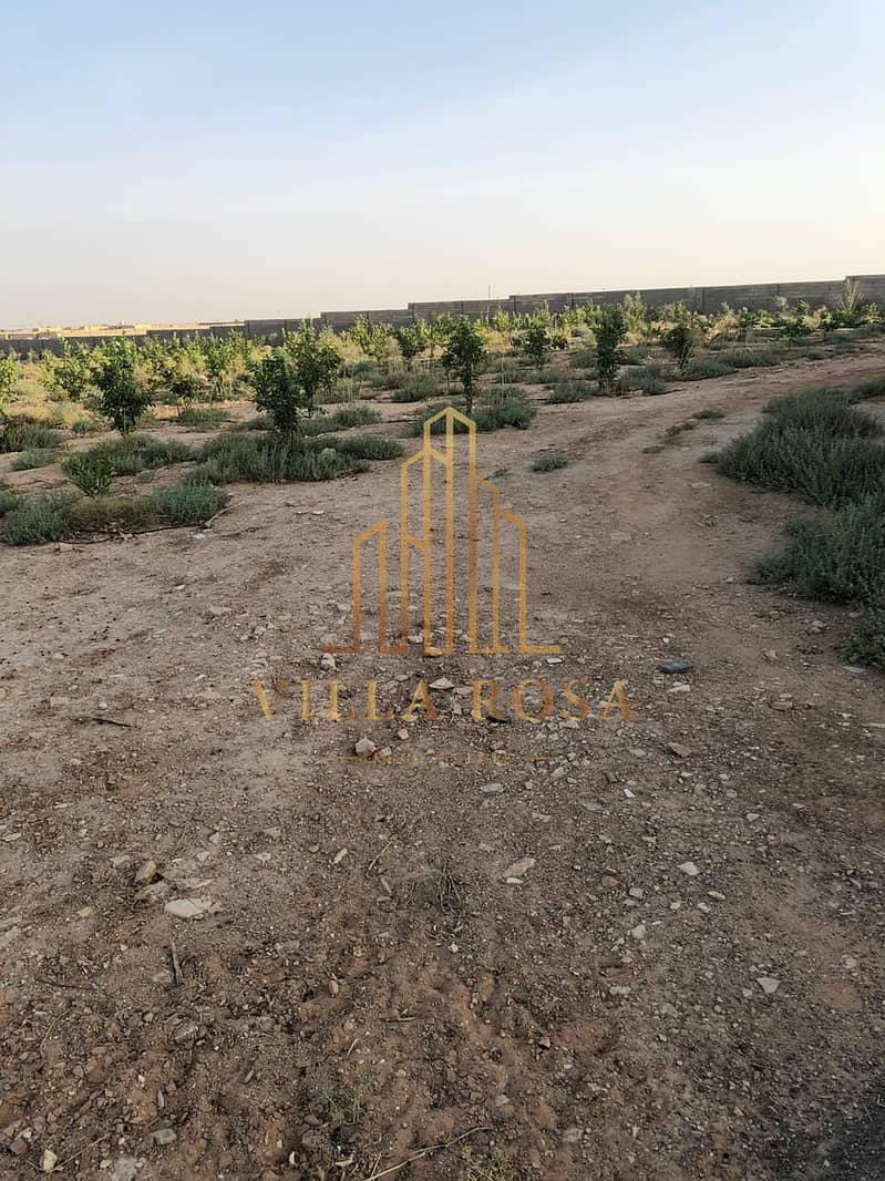 11 صورة واتساب بتاريخ 2024-05-30 في 05.53. 05_70d36b1b. jpg