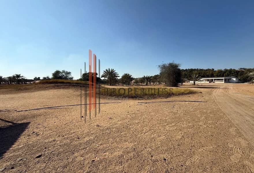 14 1312x894 (11). webp