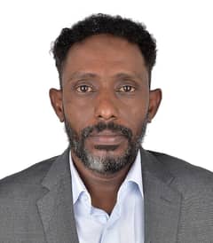 Ismail Bashir