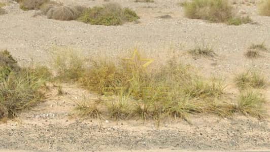 Industrial Land for Sale in Al Sajaa, Sharjah - WhatsApp Image 2026-04-25 at 11.05. 52 AM. jpeg Industrial Land for Sale in Al Sajaa, Sharjah - WhatsApp Image 2026-04-25 at 11.05. 52 AM. jpeg