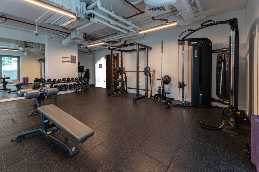 19 GYM 3. jpg