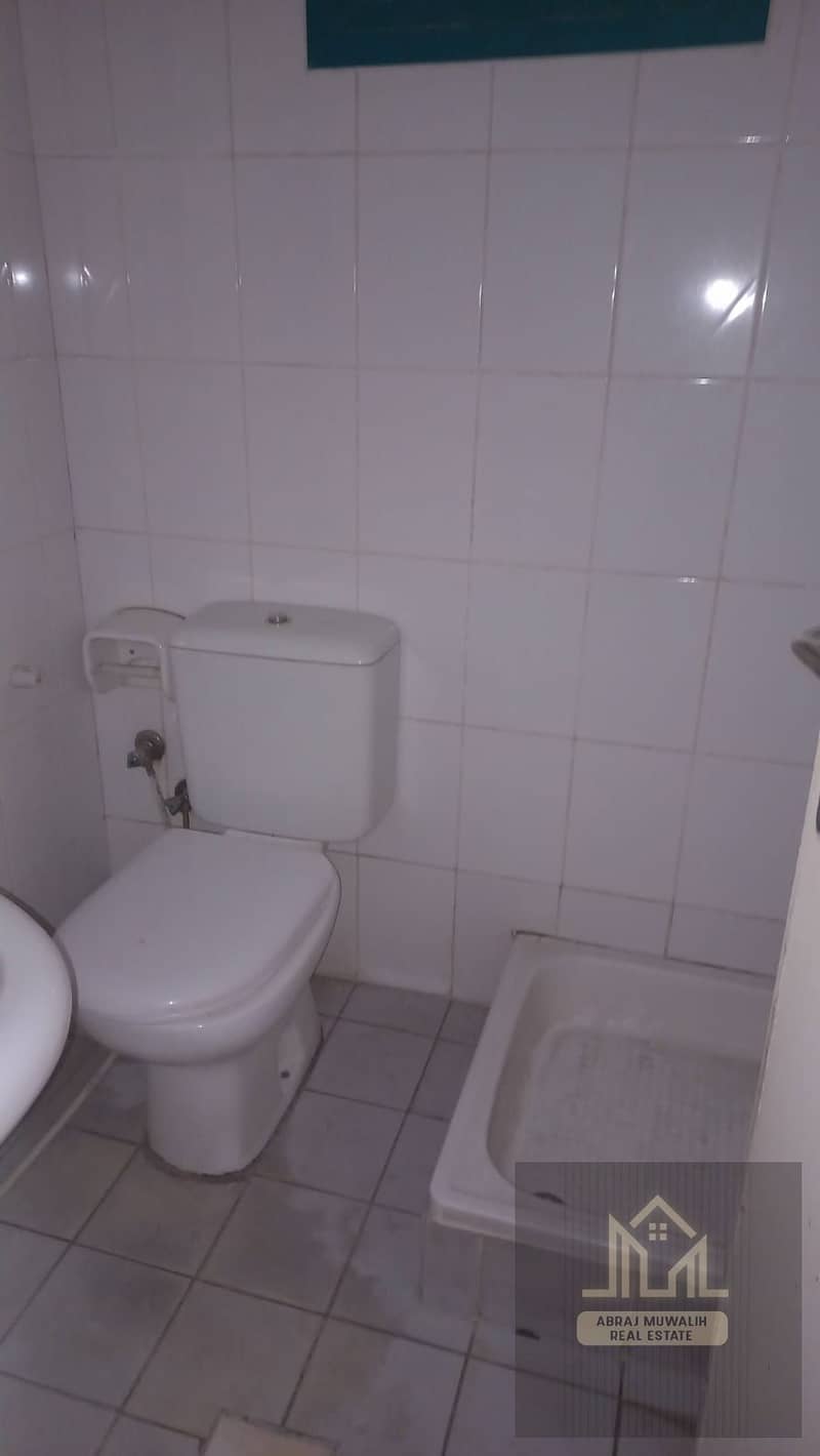 3 1000469112. jpg