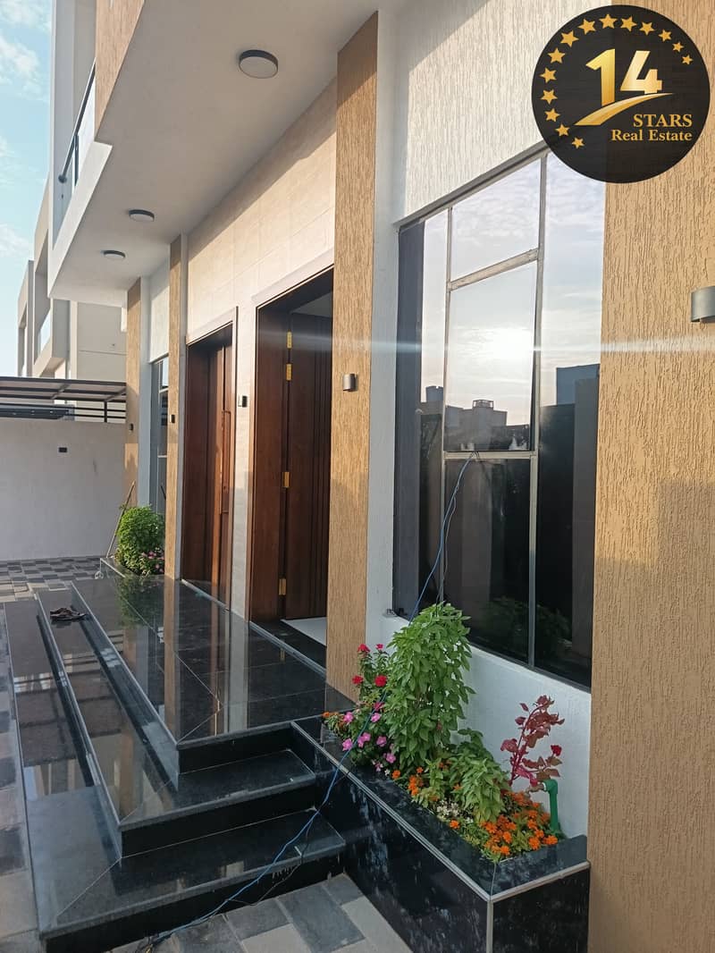 4 126906. jpg