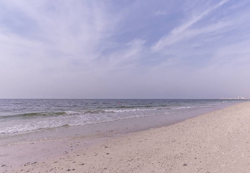 32 APTG103SHRAJMAN30. png
