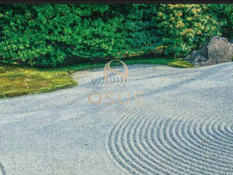 7 image_6