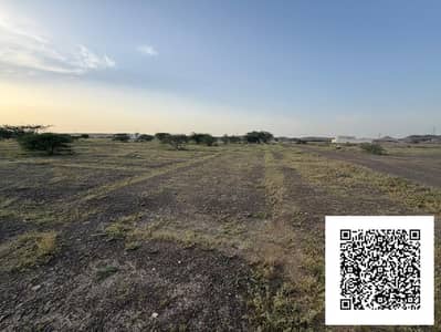 Plot te Koop in Al Manama, Ajman - WhatsApp Image 2026-04-28 at 1.17. 40 PM. jpeg Plot te Koop in Al Manama, Ajman - WhatsApp Image 2026-04-28 at 1.17. 40 PM. jpeg