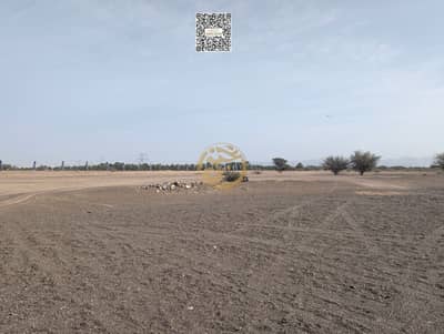 Plot in Vendita a Al Manama, Ajman - 1. jpg Plot in Vendita a Al Manama, Ajman - 1. jpg