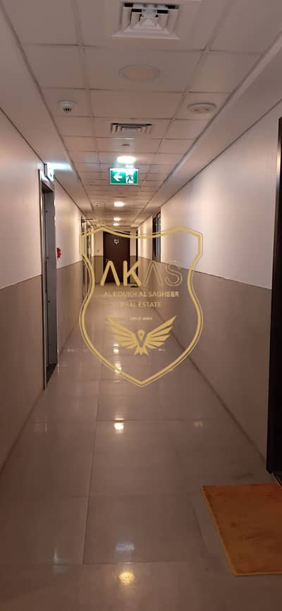 迪拉区， 迪拜 1 卧室公寓待租 - 1000030852. jpg