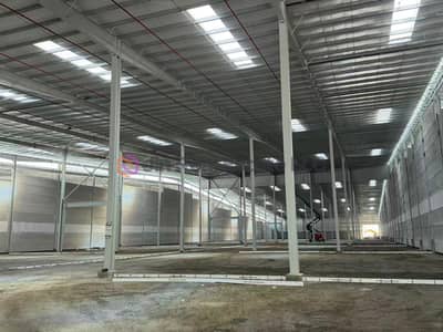 Warehouse in Affitto a Umm Dera, Umm Al Quwain - 微信图片_20260425152040_185_164. jpg Warehouse in Affitto a Umm Dera, Umm Al Quwain - 微信图片_20260425152040_185_164. jpg