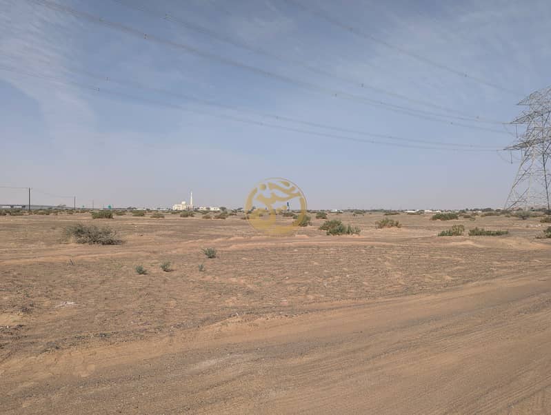 3 PXL_20260124_063028325. jpg