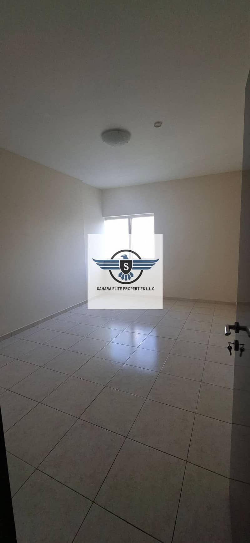 7 3011. jpg