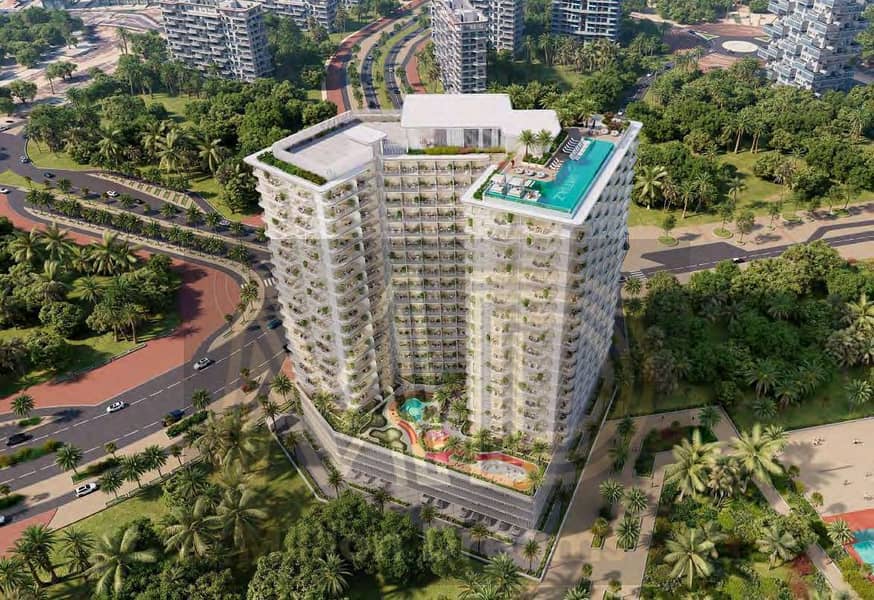 11 img141. jpg