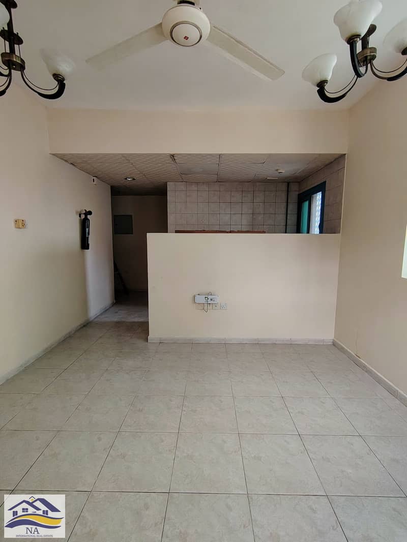 4 168046. jpg