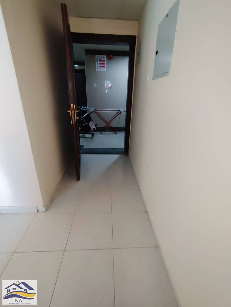 7 168050. jpg