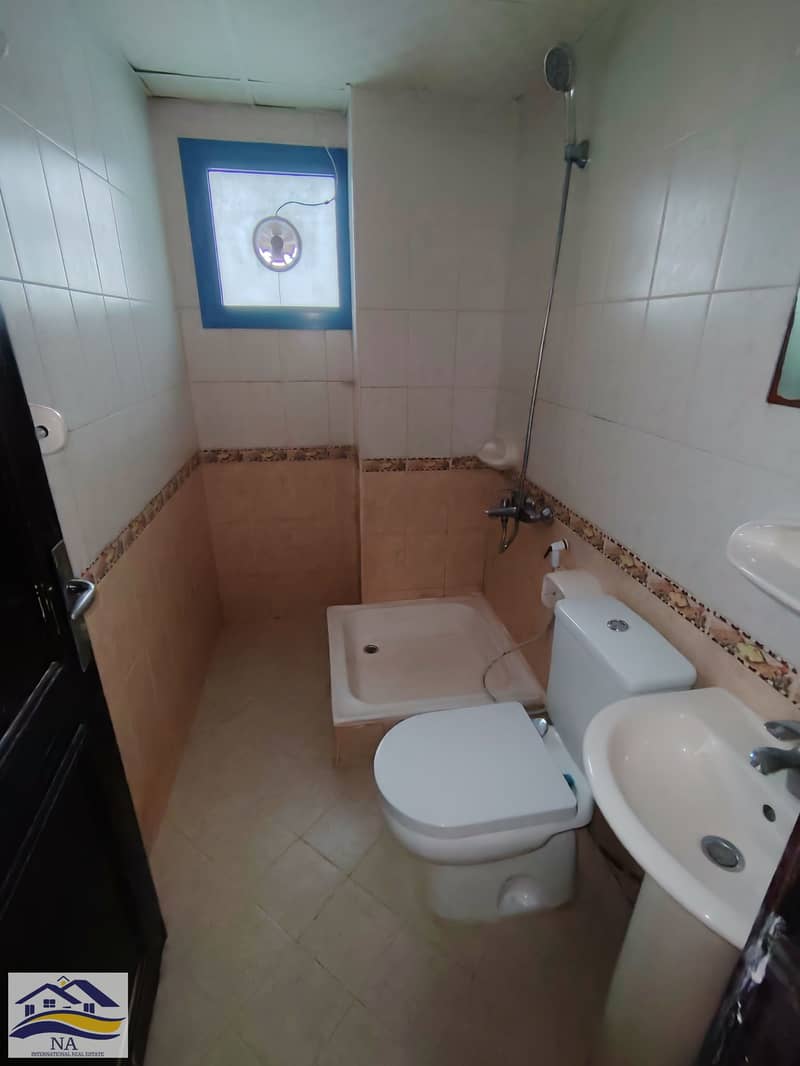 9 168049. jpg