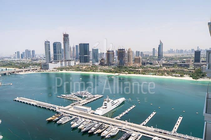 Appartamento a Dubai Harbour,Emaar Beachfront,Beach Mansion,Beach Mansion Tower 1, 3 camere da letto, 349999 AED - 14732423 Appartamento a Dubai Harbour,Emaar Beachfront,Beach Mansion,Beach Mansion Tower 1, 3 camere da letto, 349999 AED - 14732423
