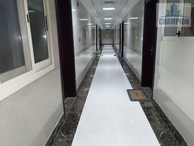 2 Bedroom Apartment for Rent in Al Warqaa, Dubai - WhatsApp Image 2020-01-09 at 6.57. 26 PM. jpeg 2 Bedroom Apartment for Rent in Al Warqaa, Dubai - WhatsApp Image 2020-01-09 at 6.57. 26 PM. jpeg