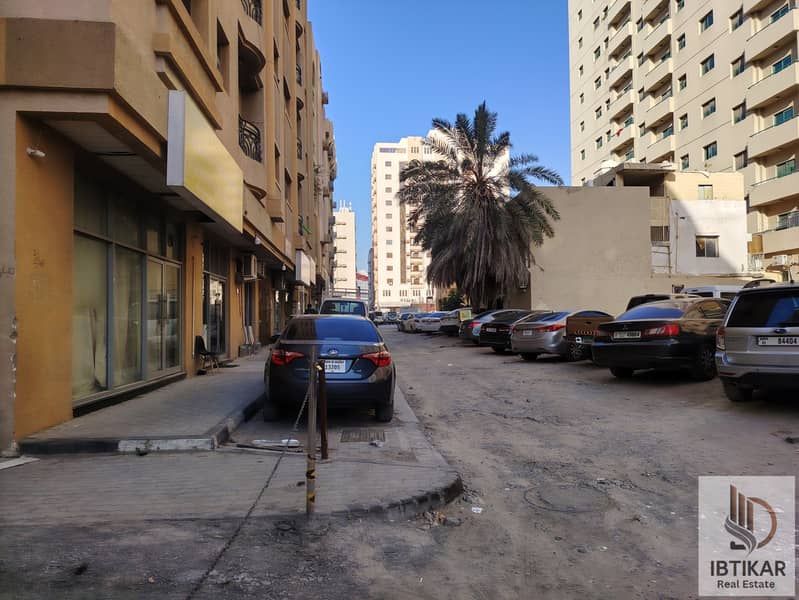 5 145979. jpg