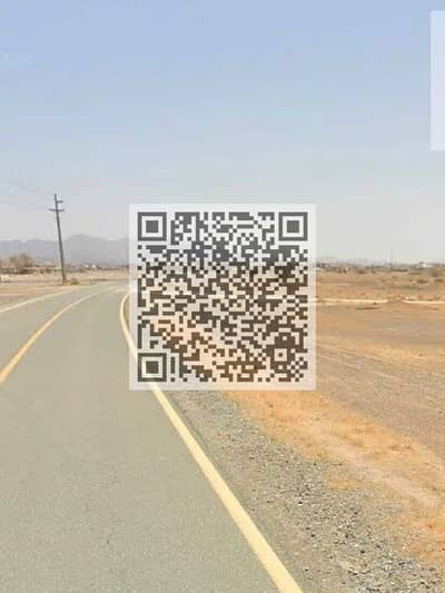 Plot de  à à vendre à Al Jurf, Ajman - bca290265909458e84c9554cc85fb3fd-. jpg