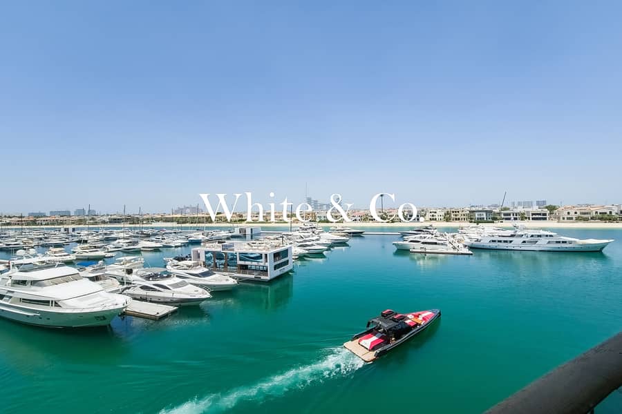 Full Atlantis Views | Large Layout | VOT Full Atlantis Views | Large Layout | VOT