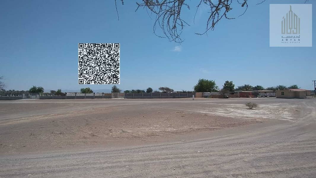 9 232 (7). jpeg