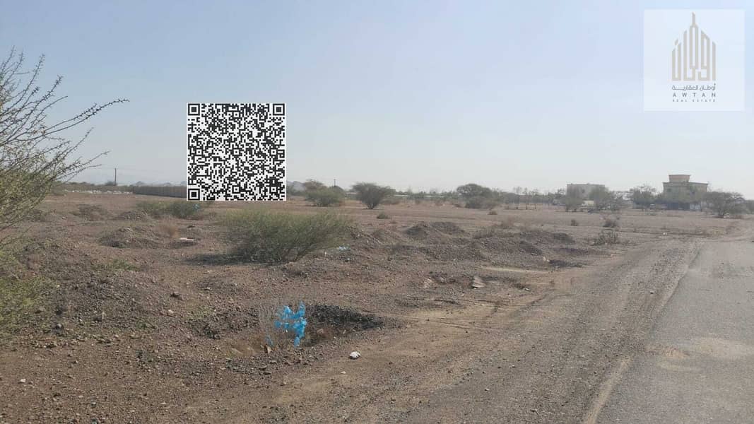 10 232 (8). jpeg