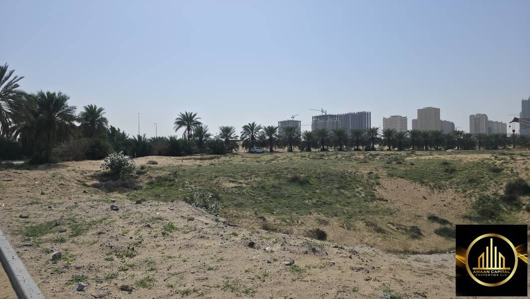4 601522. jpg