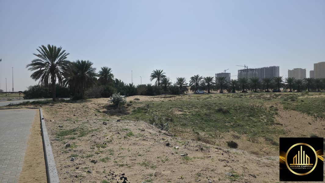 3 601519. jpg