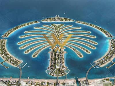 ارض سكنية  للبيع في نخلة جميرا، دبي - ارض سكنية في نخلة جميرا 50000000 درهم - 15086636