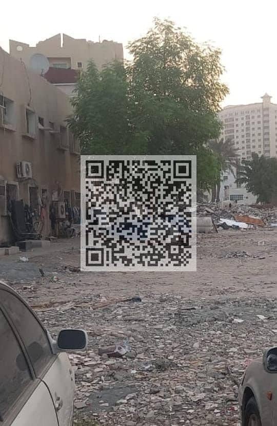 2 WhatsApp Image 2026-01-13 at 4.11. 28 AM. jpeg
