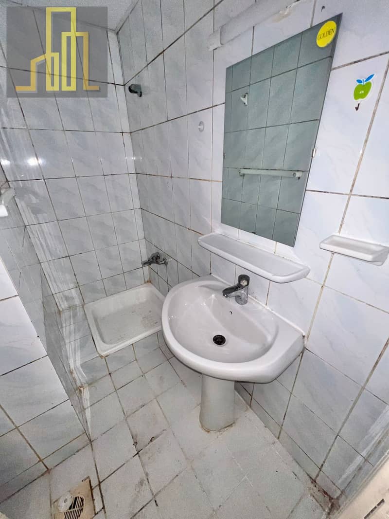 7 169326. jpg