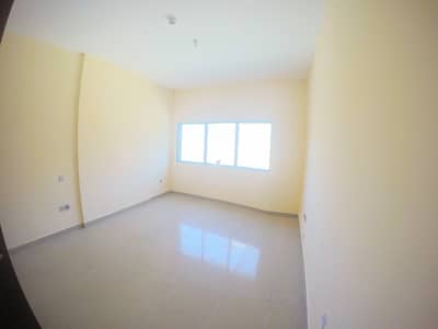 Spectacular 1BR | Specious | Best Apartment Spectacular 1BR | Specious | Best Apartment