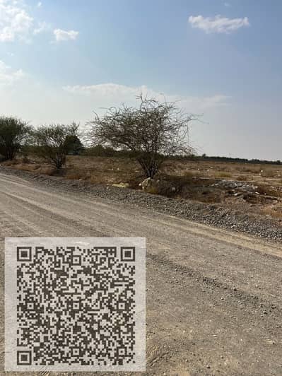 Plot for Sale in Al Manama, Ajman - WhatsApp Image 2025-10-27 at 7.59. 27 AM. jpeg