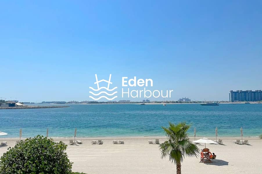 29 BEACH VIEW PALM. jpg