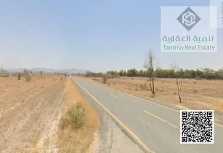Plot for Sale in Al Manama, Ajman - WhatsApp Image 2026-05-07 at 19.37. 58. jpeg