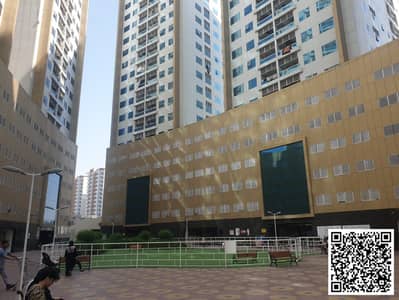 阿治曼市中心， 阿治曼 1 卧室公寓待租 - WhatsApp Image 2026-01-15 at 8.16. 26 AM. jpeg