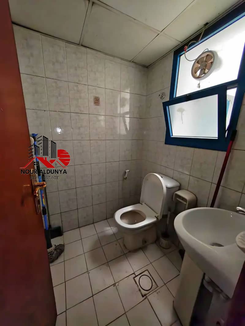 6 390693. jpg