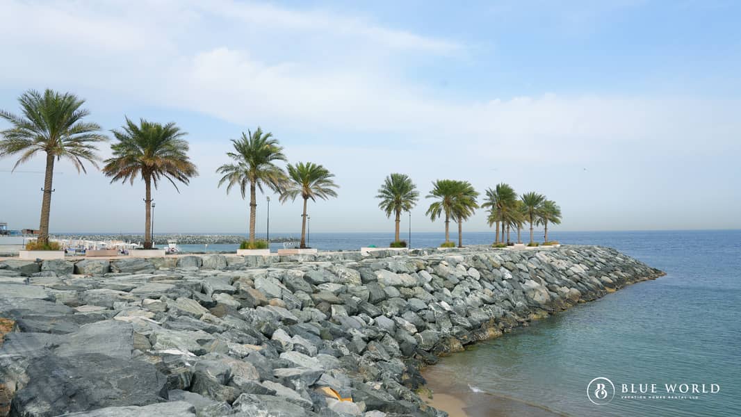 2 JP_06887. jpg