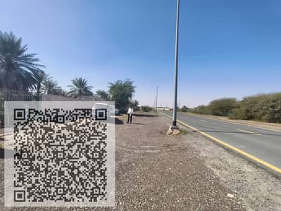 Plot for Sale in Al Manama, Ajman - WhatsApp Image 2026-02-08 at 5.35. 29 PM (2). jpeg