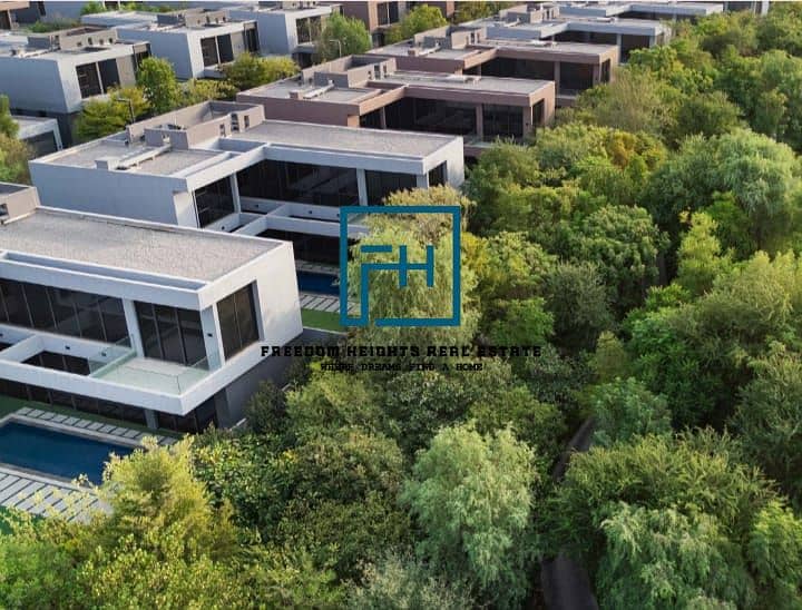 13 1000098258. jpg