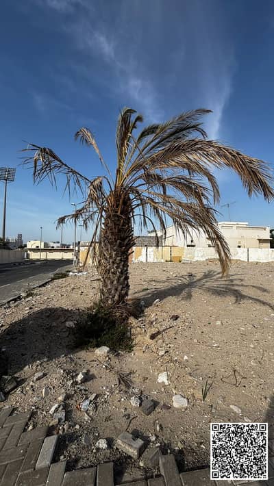 Plot para en Venta en Al Hazannah, Sharjah - WhatsApp Image 2026-04-16 at 5.03. 32 PM (1). jpeg Plot para en Venta en Al Hazannah, Sharjah - WhatsApp Image 2026-04-16 at 5.03. 32 PM (1). jpeg