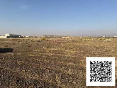 Plot zum zum Verkauf in Al Manama, Ajman - 1001123859. jpg Plot zum zum Verkauf in Al Manama, Ajman - 1001123859. jpg