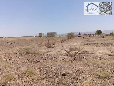 Plot for Sale in Al Manama, Ajman - IMG-20260510-WA0020. jpg Plot for Sale in Al Manama, Ajman - IMG-20260510-WA0020. jpg