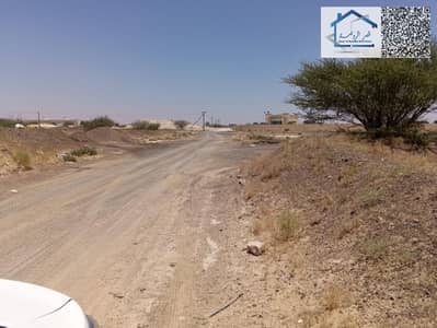 Plot zum zum Verkauf in Al Manama, Ajman - IMG-20260510-WA0023. jpg Plot zum zum Verkauf in Al Manama, Ajman - IMG-20260510-WA0023. jpg