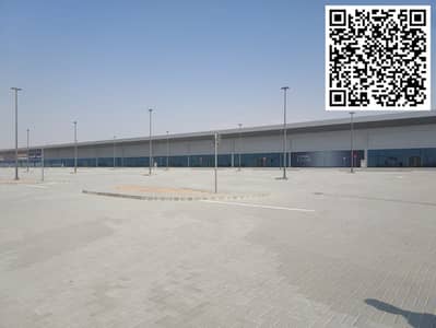 Floor in Affitto a Al Zahya, Ajman - WhatsApp Image 2026-05-11 at 1.26. 39 PM. jpeg